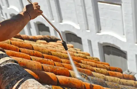 Nettoyage de toitures - Brégnier-Cordon